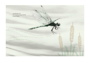Key Hooks - Dragonfly on reeds