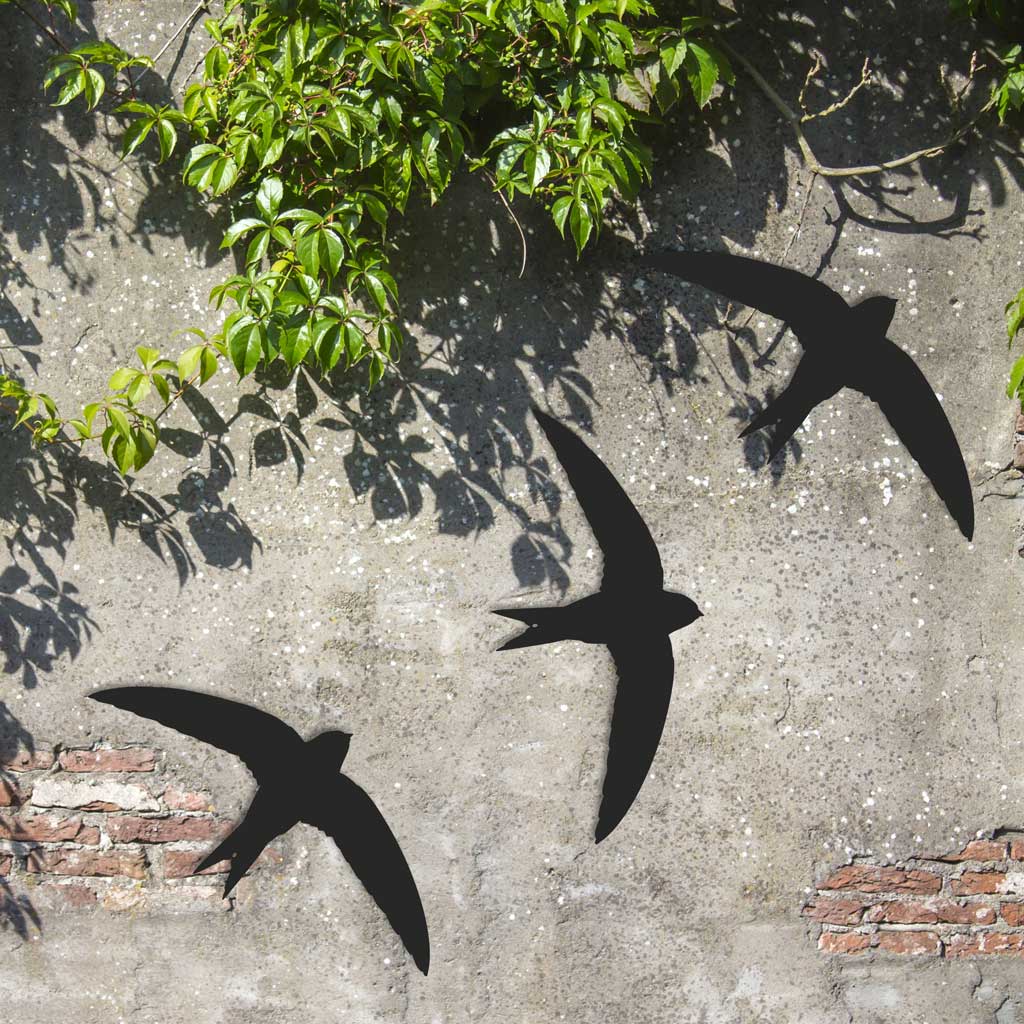 Bird - Swift - Set of three
