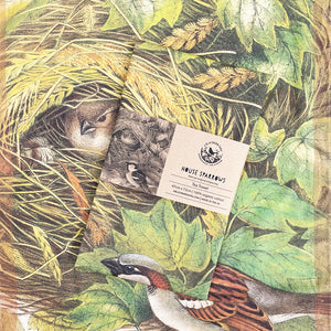Tea towel - Birds of the UK - House sparrow guarding the nest