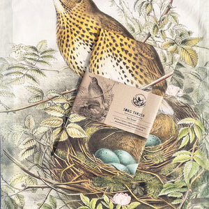 Tea towel - Birds of the UK - Song Thrush - with eggs in the nest