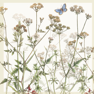 Greeting Card - Grasses and Butterfly