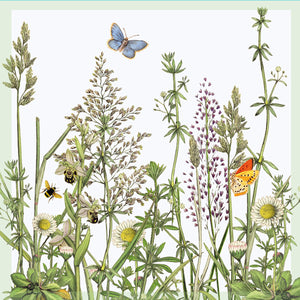 Greeting Card - Grasses and Butterfly - Set of 5 with envelopes