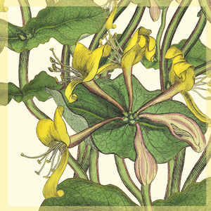 Greeting Card - Cowslips