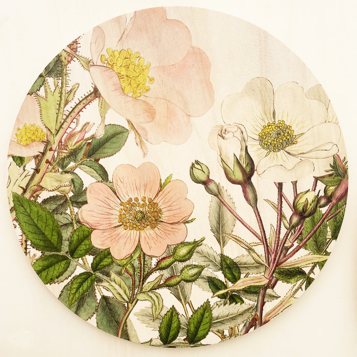 Printed Poplar Wall Art - Wild Roses