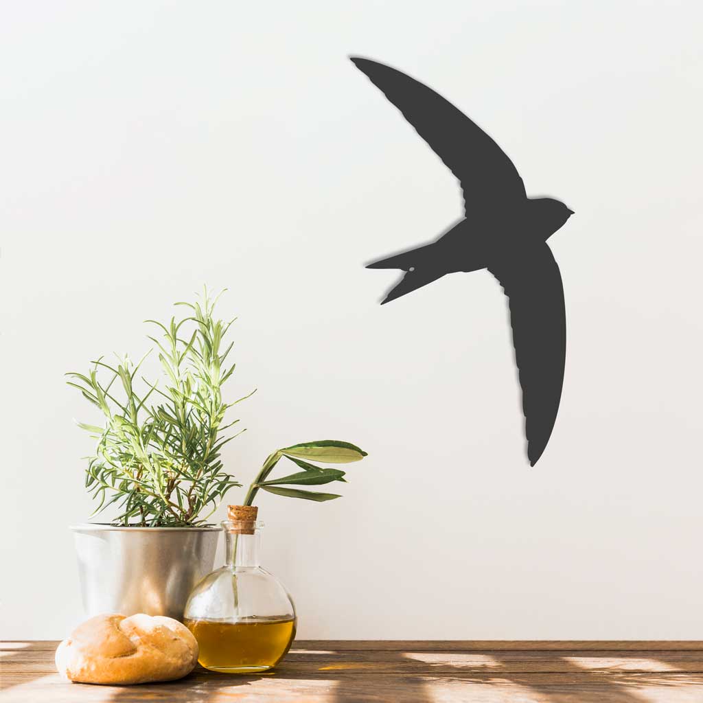 Bird - Swift