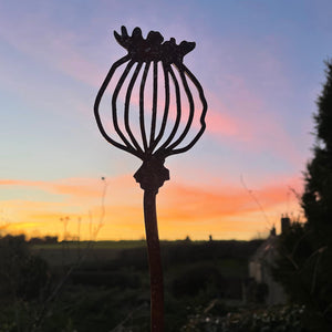 Garden Stems - Goldfinch on teasel