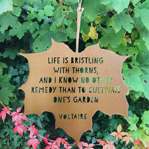 Leaf Quote - Life is bristling with thorns - Voltaire