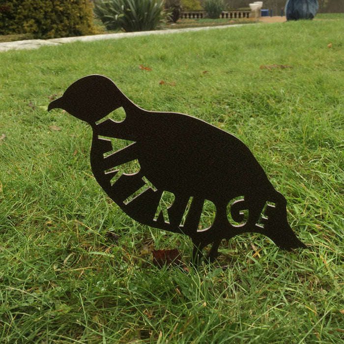 Bird - Partridge - Walking