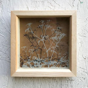 Etched Glass - Oxfordshire Cow Parsley