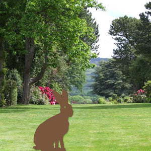 Hare - Sitting